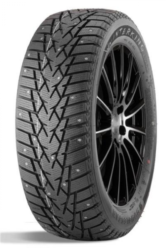 Double Star DW01 225/75R16 115/112Q